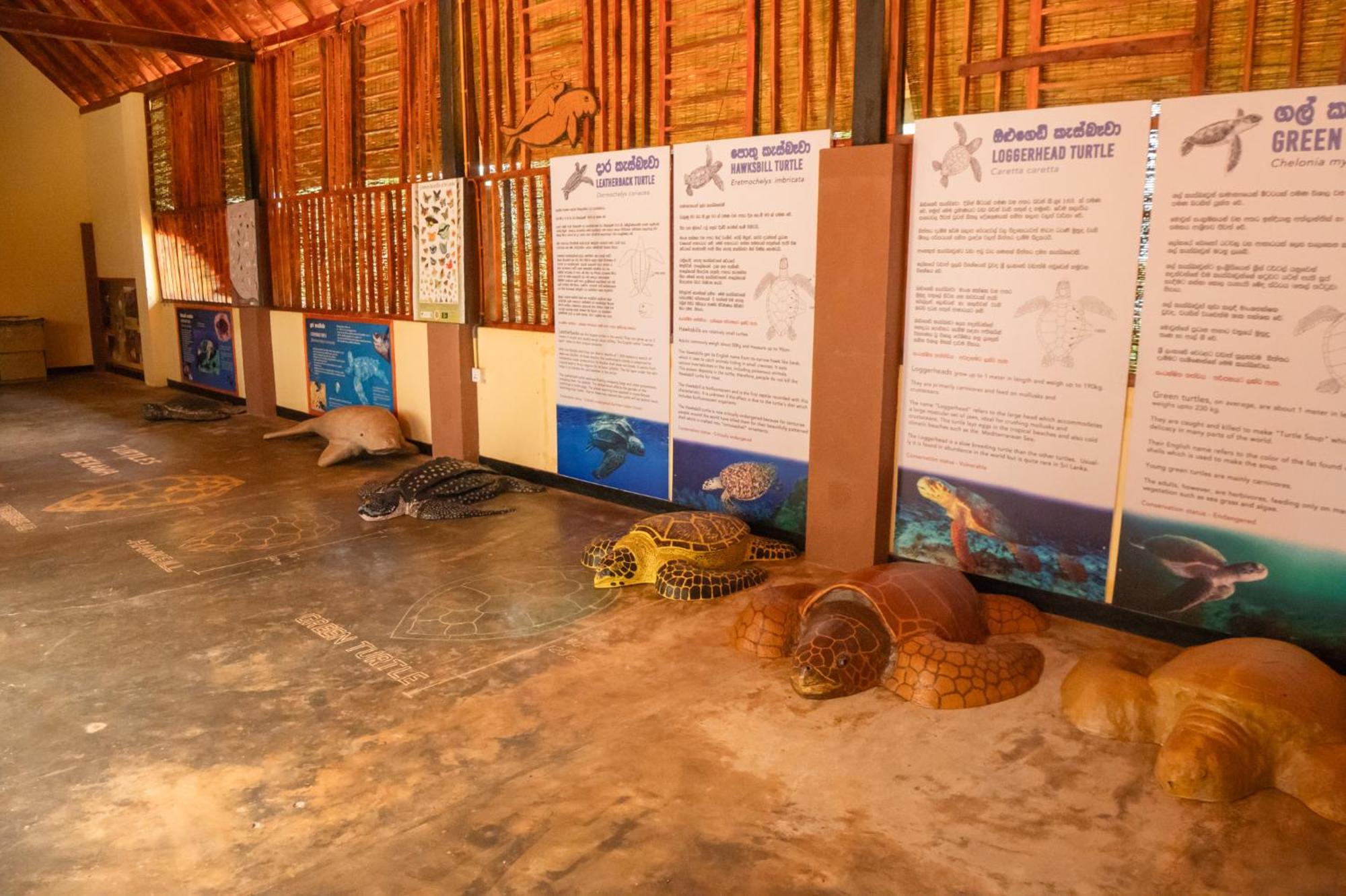 Rekawa Turtle Gate Hotel Tangalle Bagian luar foto